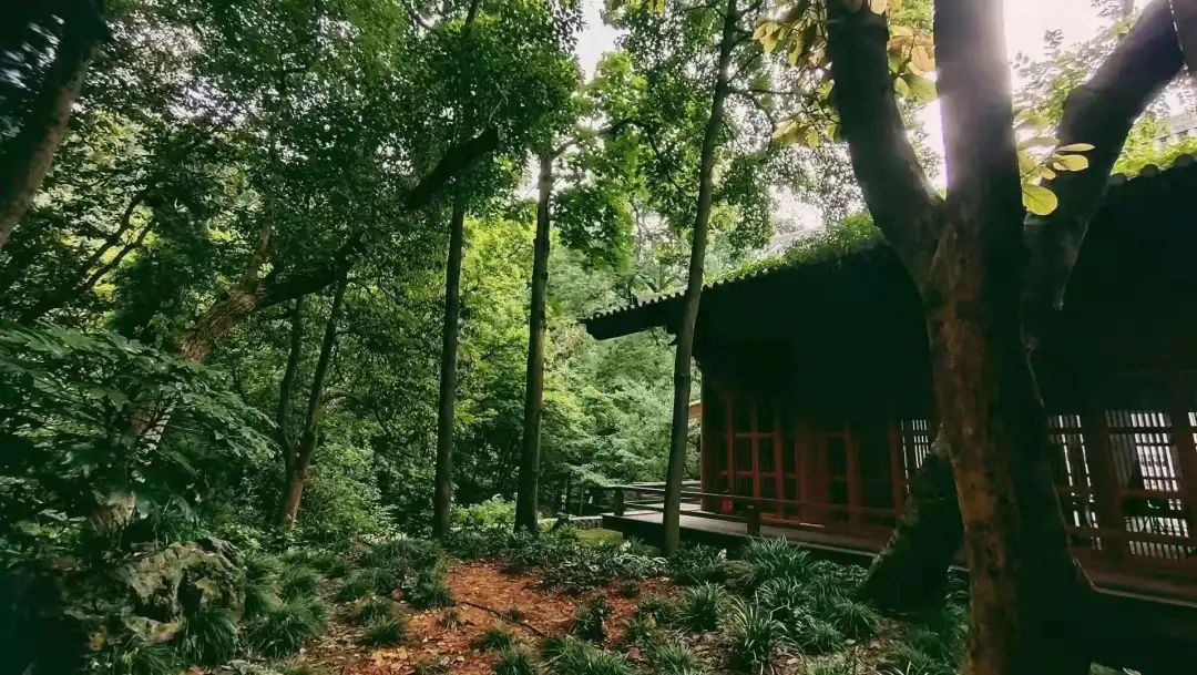 山房十二時(shí)辰——杭州靈隱全實(shí)木禪房插圖1