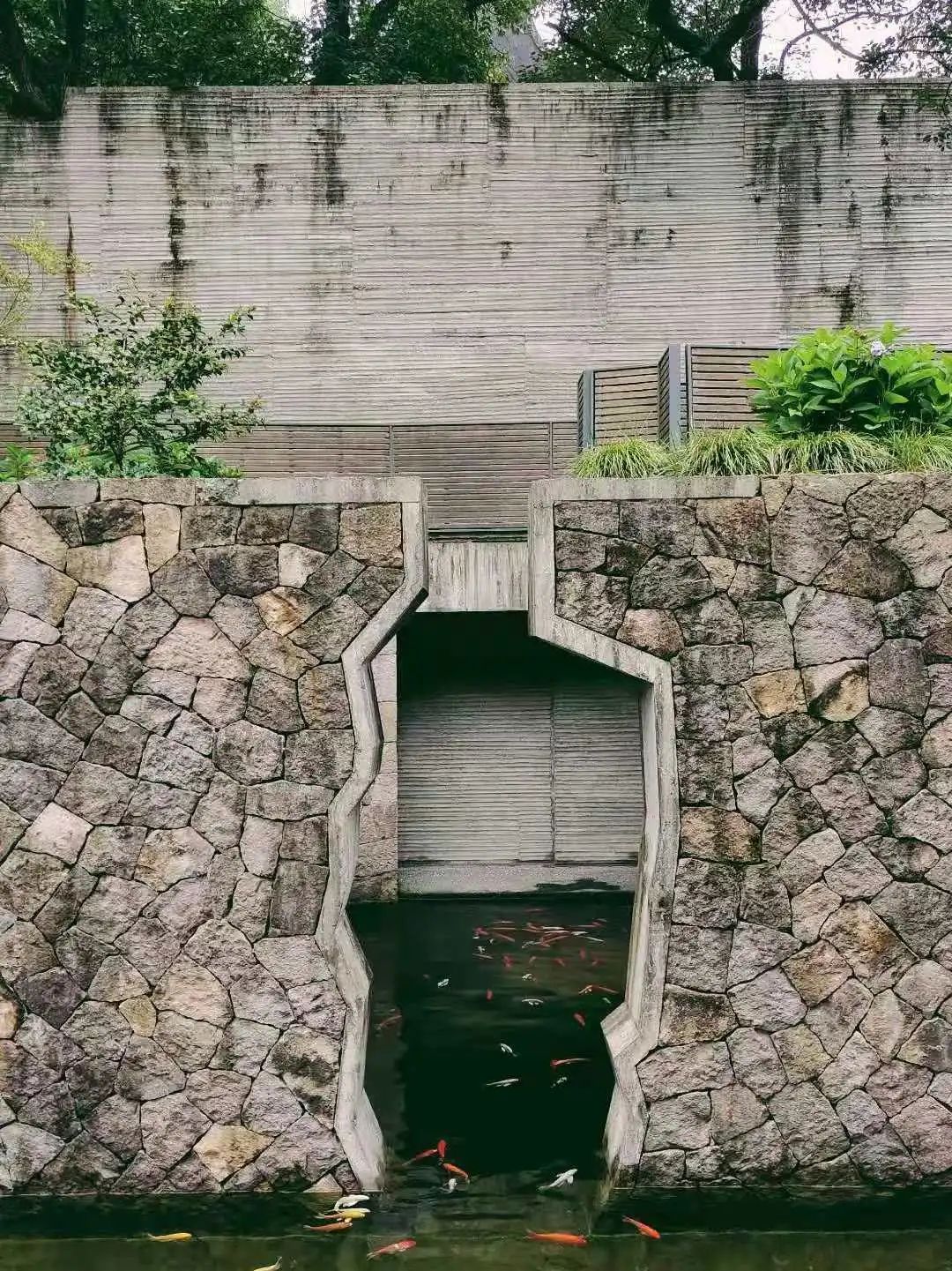山房十二時(shí)辰——杭州靈隱全實(shí)木禪房插圖3