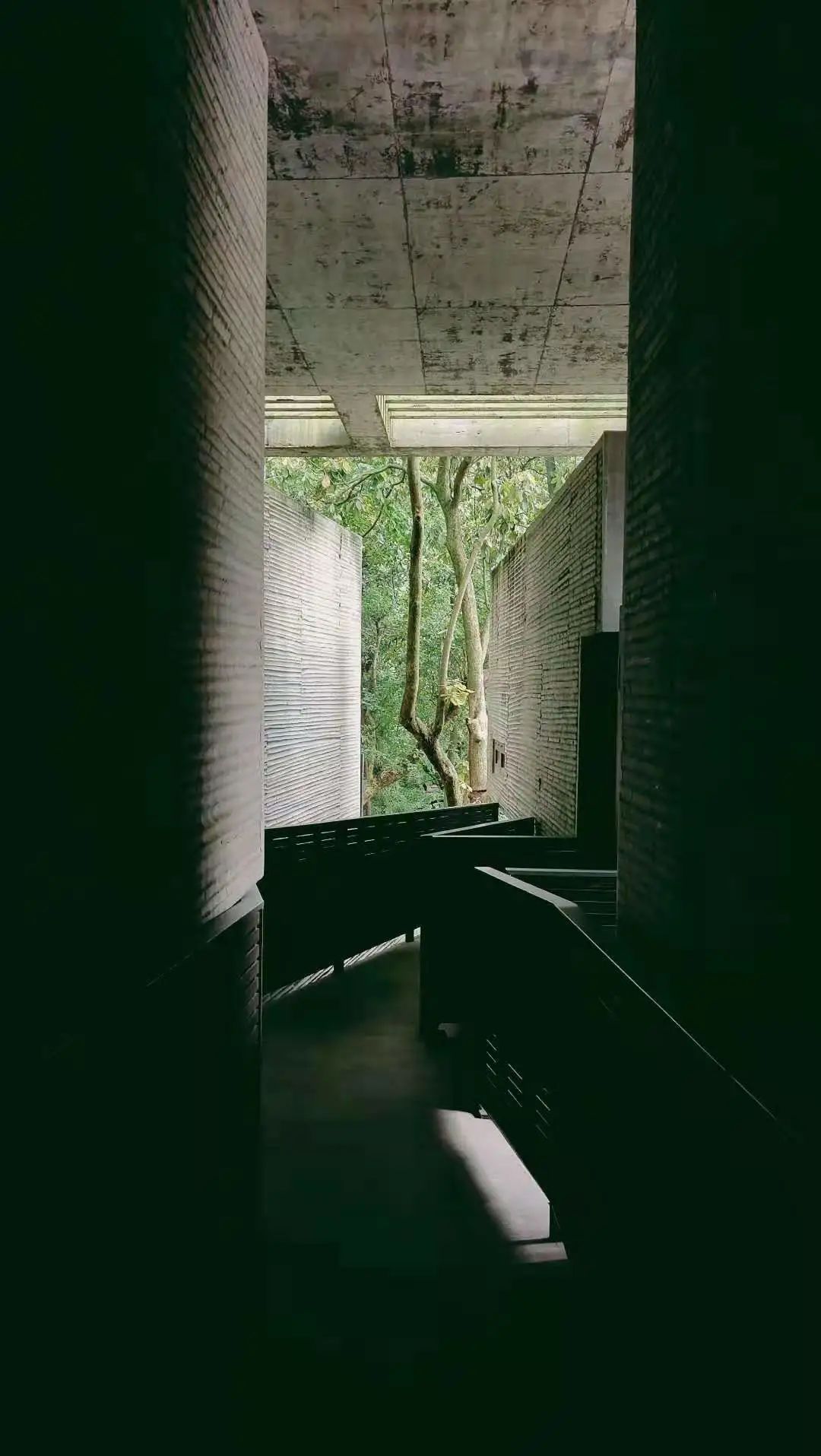 山房十二時(shí)辰——杭州靈隱全實(shí)木禪房插圖5