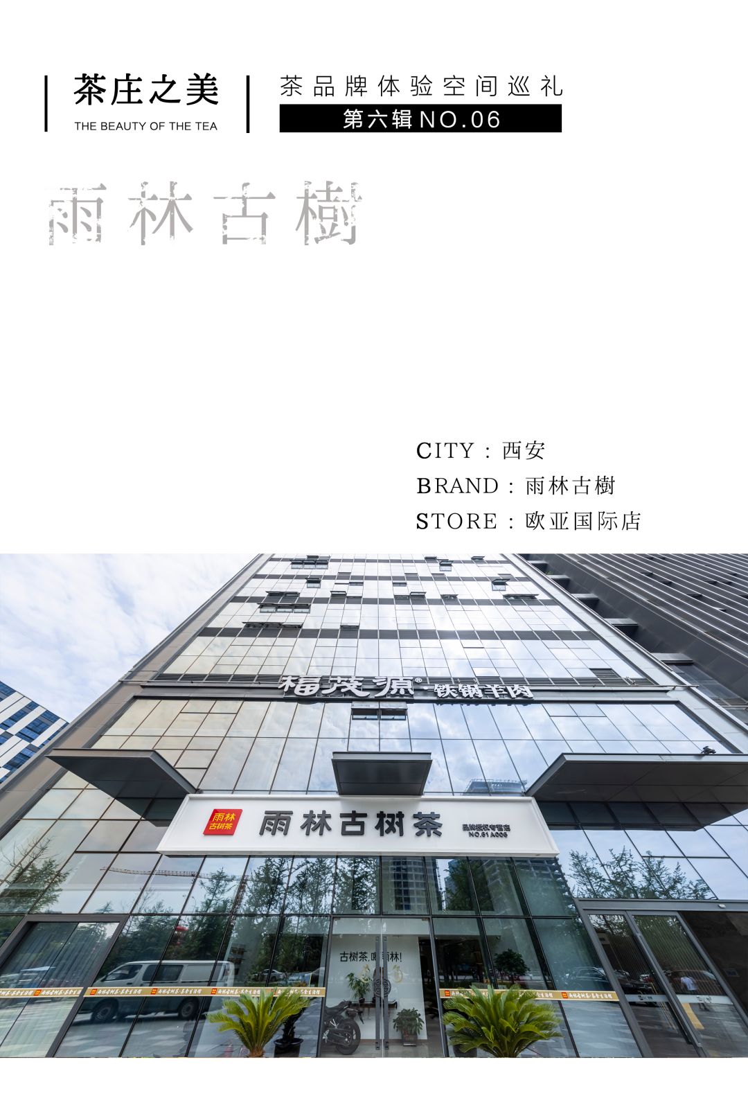 茶品牌體驗(yàn)空間巡禮第六輯 | 去雨林古樹，赴江南茶宴插圖1