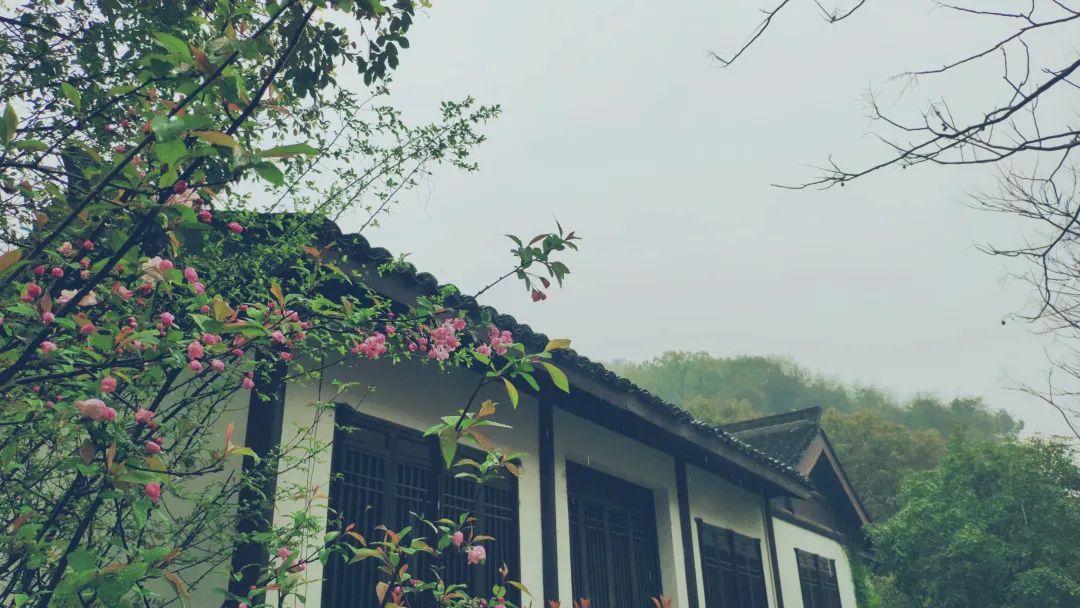 杭州茶書院?jiǎn)⒛?| 當(dāng)代「韓熙載夜宴」，復(fù)現(xiàn)中國(guó)文人雅趣生活插圖16