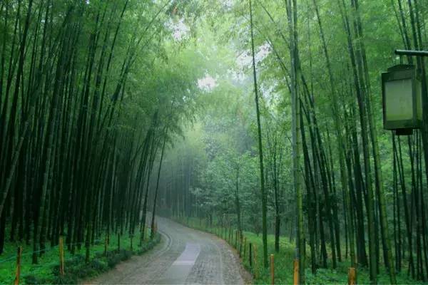 揭秘｜探班漢唐宣傳視頻拍攝現(xiàn)場(chǎng)插圖