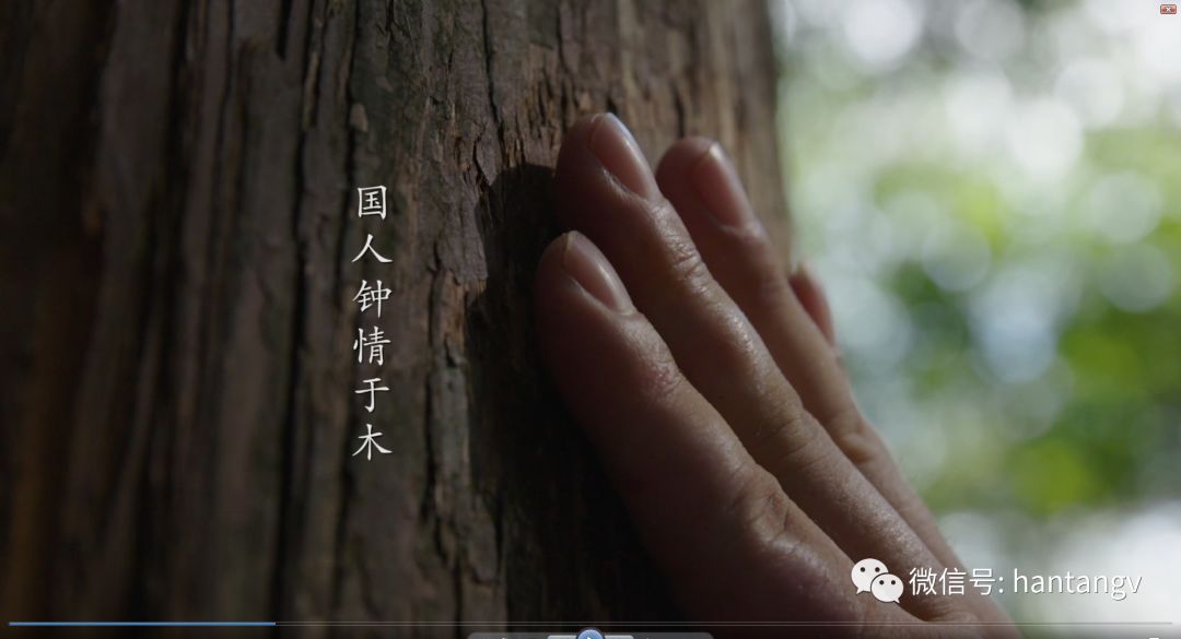 漢唐最新宣傳片《漢唐匠心》震撼發(fā)布！插圖2