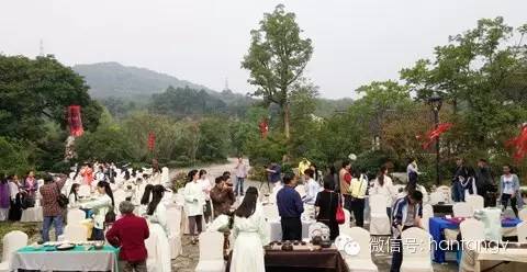 “漢唐杯”生活茶席設(shè)計比賽佳作頻出，完美落幕插圖