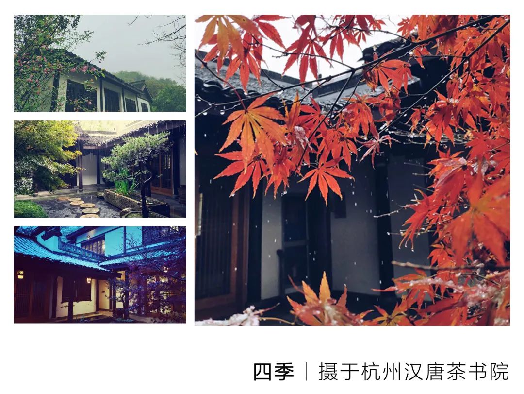 特別策劃 | 茶室中國 NO.1 時(shí)節(jié)的詩意插圖7 特別策劃 | 茶室中國 NO.1 時(shí)節(jié)的詩意插圖7