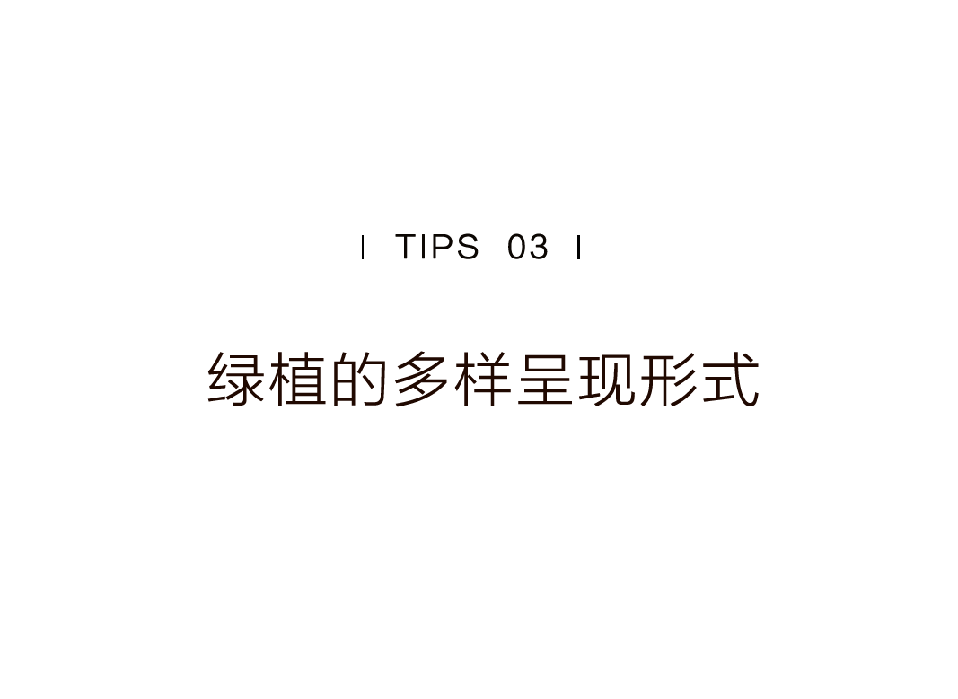 特別策劃 | 茶室中國 NO.1 時(shí)節(jié)的詩意插圖34 特別策劃 | 茶室中國 NO.1 時(shí)節(jié)的詩意插圖34