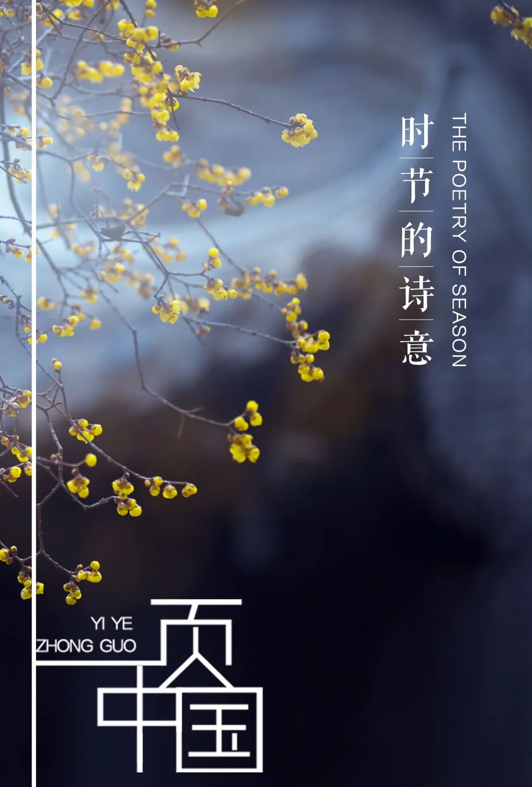 特別策劃 | 茶室中國 NO.1 時(shí)節(jié)的詩意插圖12 特別策劃 | 茶室中國 NO.1 時(shí)節(jié)的詩意插圖12