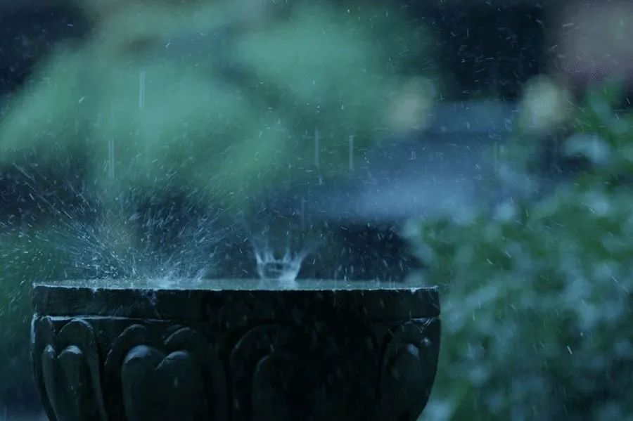 特別策劃 | 茶室中國NO.2 風(fēng)雨入室來插圖3 特別策劃 | 茶室中國NO.2 風(fēng)雨入室來插圖3